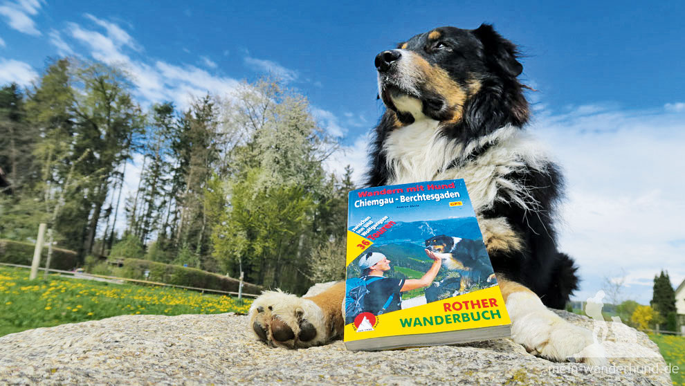 Hund &amp; Hütte Wandern mit WauEffekt ALPS Magazine