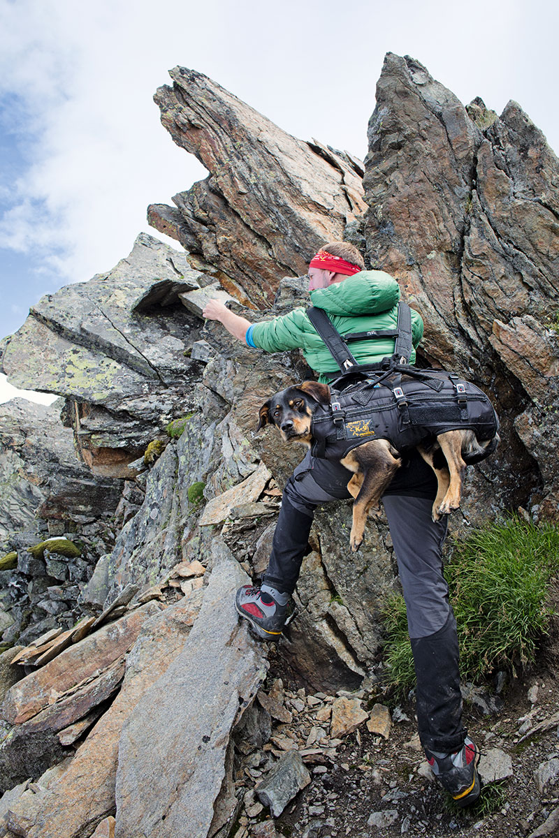 Hund &amp; Hütte Wandern mit WauEffekt ALPS Magazine