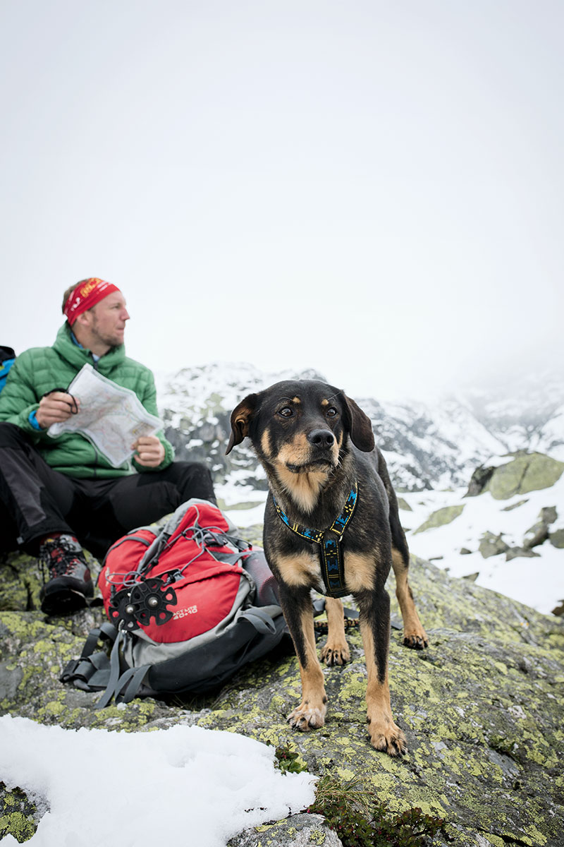 Hund &amp; Hütte Wandern mit WauEffekt ALPS Magazine