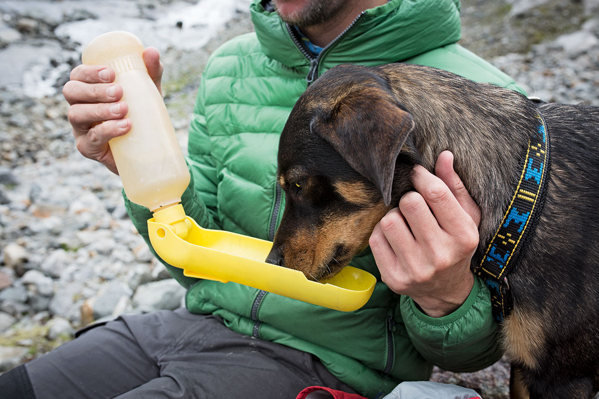 Hund &amp; Hütte Wandern mit WauEffekt ALPS Magazine