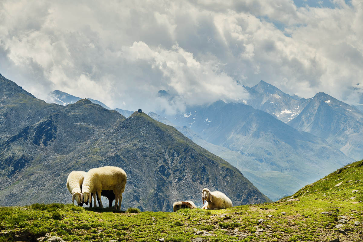 Hütte im Geiste: Das ebenfalls exponiert auf einem Vorgipfel erbaute Brunnkogelhaus, für das sich im Moment aber kein Schaf unterhalb des Söldenkogels interessiert.