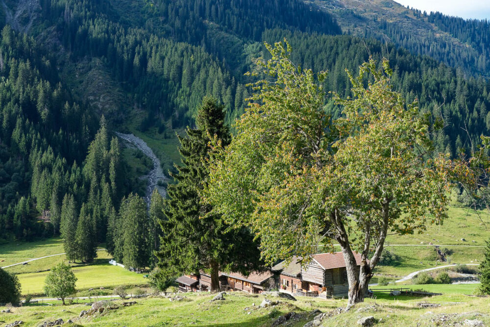 Die weit über die Landschaft verstreuten Höfe sind ein typisches Merkmal der Walserkultur