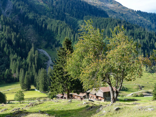 Die weit über die Landschaft verstreuten Höfe sind ein typisches Merkmal der Walserkultur