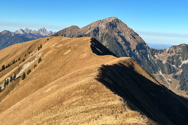 Den Blick schweifen lassen auf dem langen Wiesengrat des Hönig